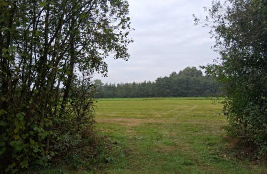  (vergroot foto)