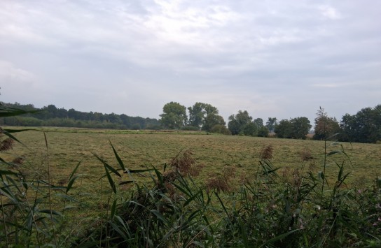  (vergroot foto)