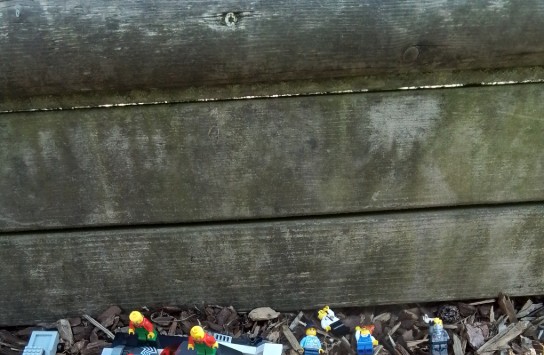 (vergroot foto)
