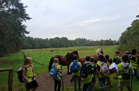  (vergroot foto)